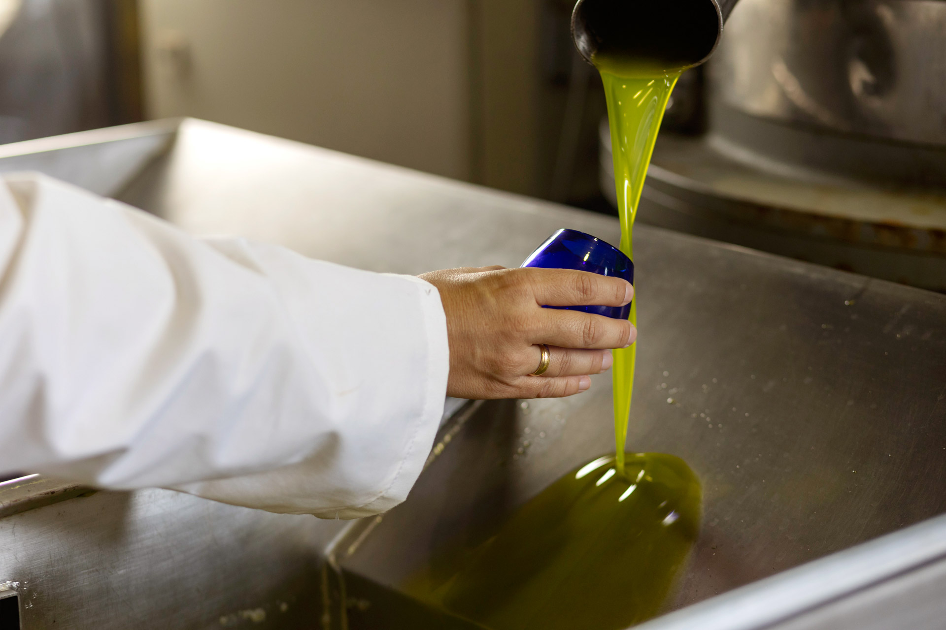 Características del aceite seleccionado Características del aceite seleccionado